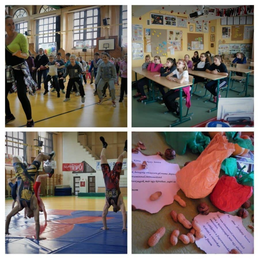 Egészségnap 2016